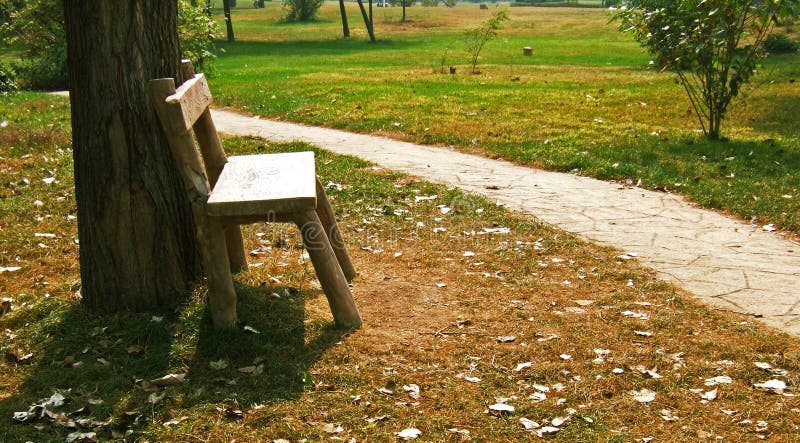 Bench in park