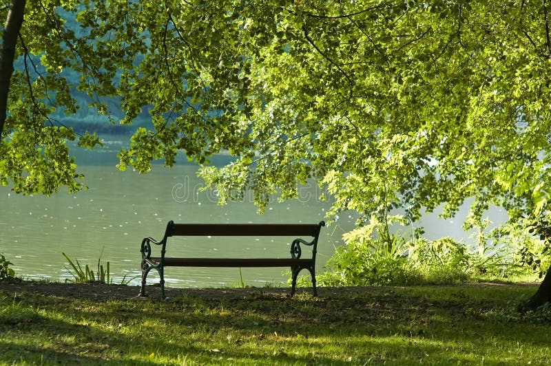 Bench in park