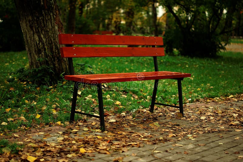 Bench in the park royalty free stock photos Bench in the park royalty free stock photos