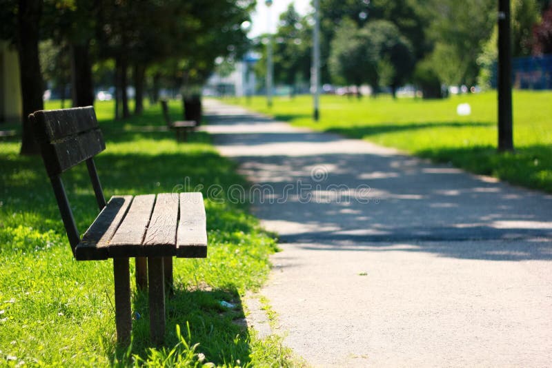 Bench in park