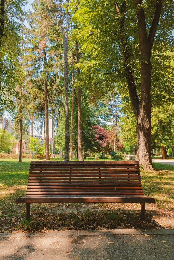 Bench in Park stock image. Image of chair, empty, background - 153684945