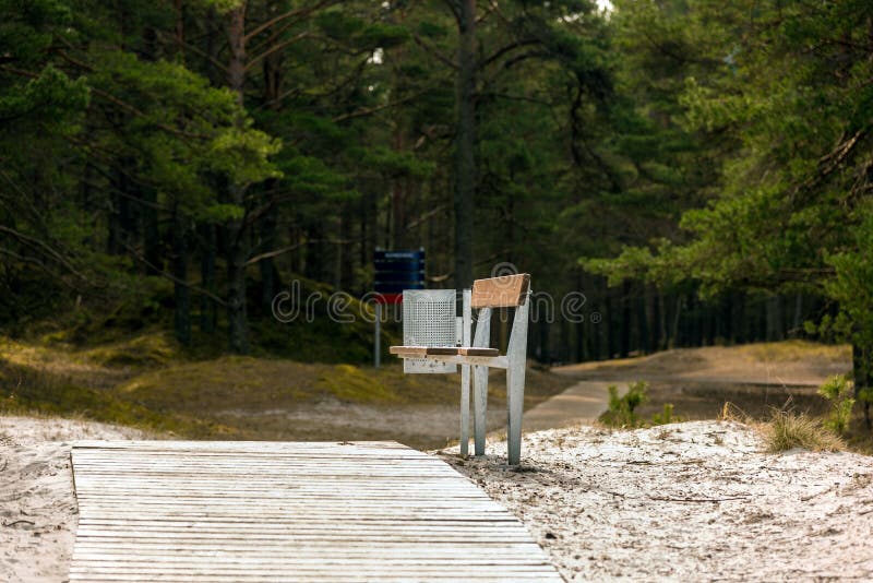Bench with Recycle Bin in Forest Stock Image Image of outdoor, road