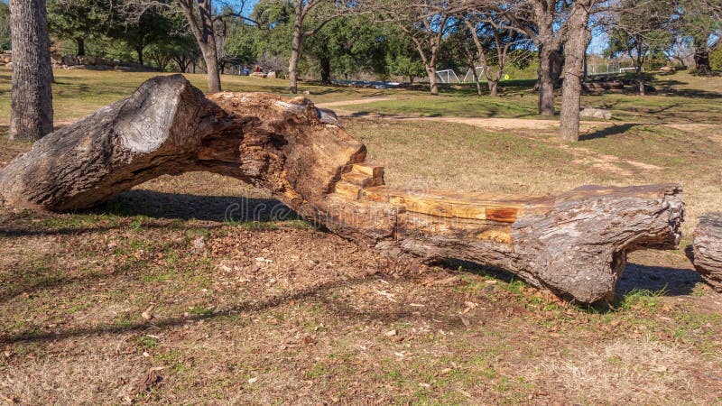 Tree Trunk Wood Bench Stock Photos Download 2 640 Royalty Free