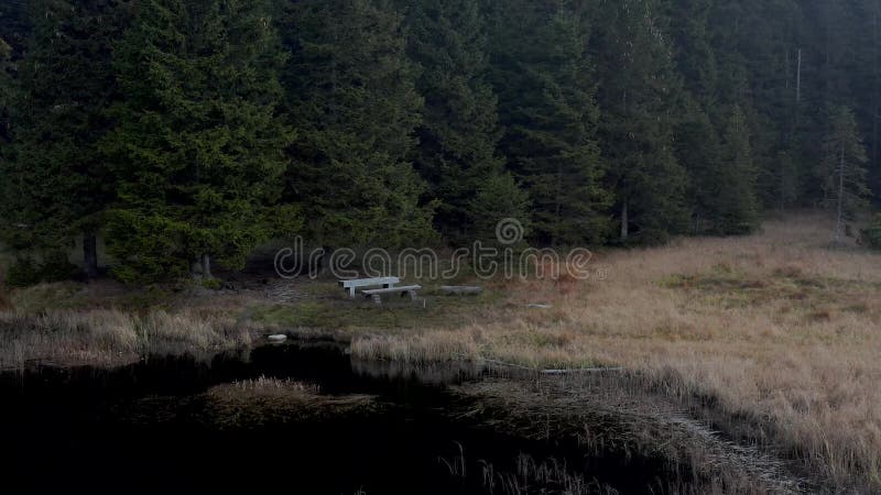 Bench and table on the shore of a lake, Aerial view on Black lake and marshes, forest in background on Pohorje mountain