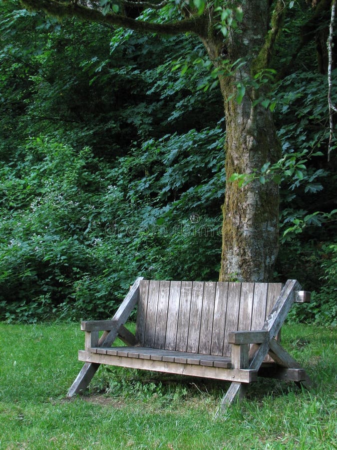 Bench Under Tree stock photo. Image of tree, bench, rest 5087356