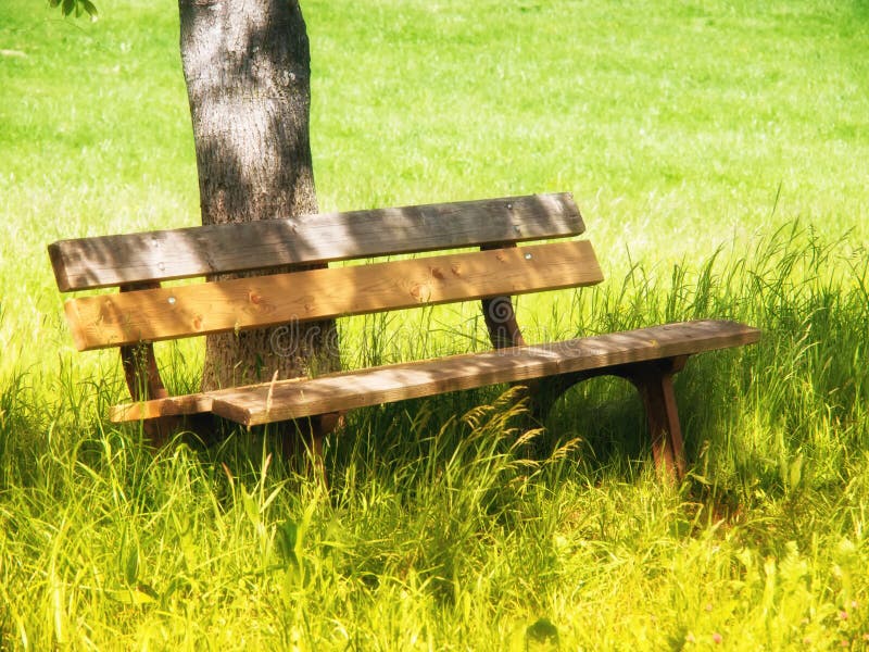 Bench under a tree (10) stock image. Image of sitting 34575639