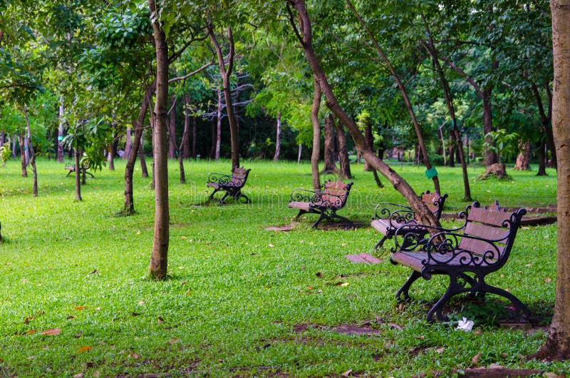 Benches in Beautiful Green Park Stock Image Image of outdoor