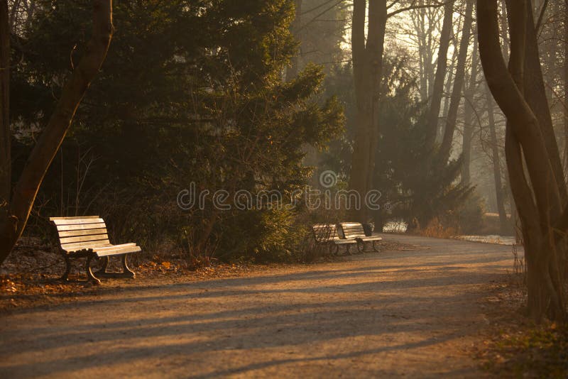 Benches in Berlin park