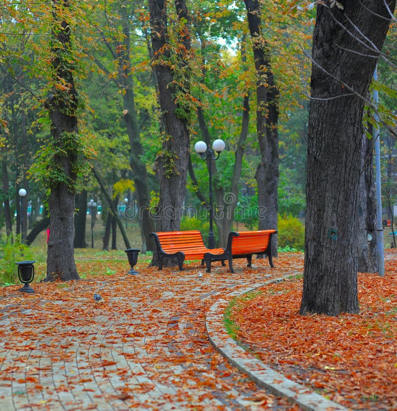 Benches in city park