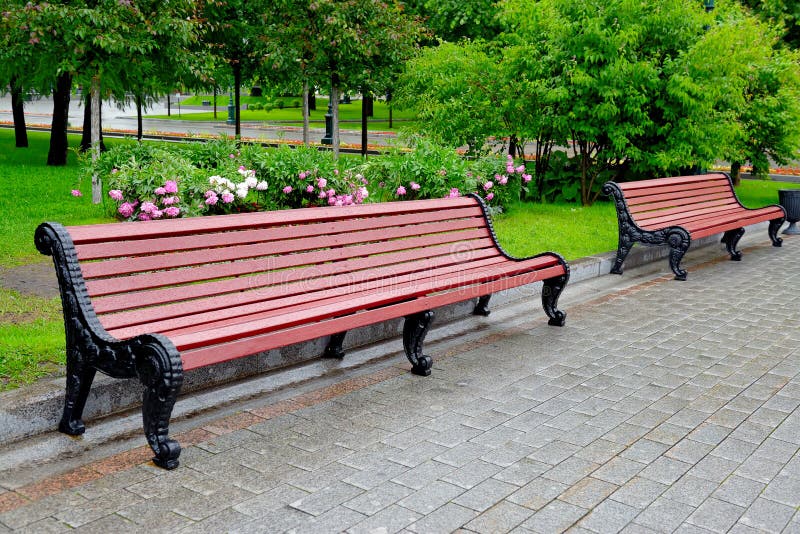 Benches in a city park on a rainy summer day