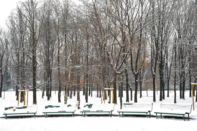 Benches in the park