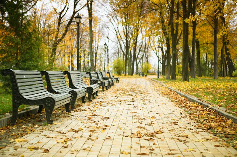 Benches in the park