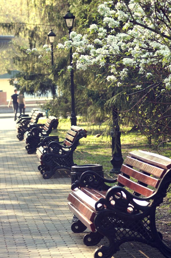 Benches in the park on Eighth of March street in Yekaterinburg on an early sunny morning. royalty free stock photos Benches in the park on Eighth of March street in Yekaterinburg on an early sunny morning. royalty free stock photos