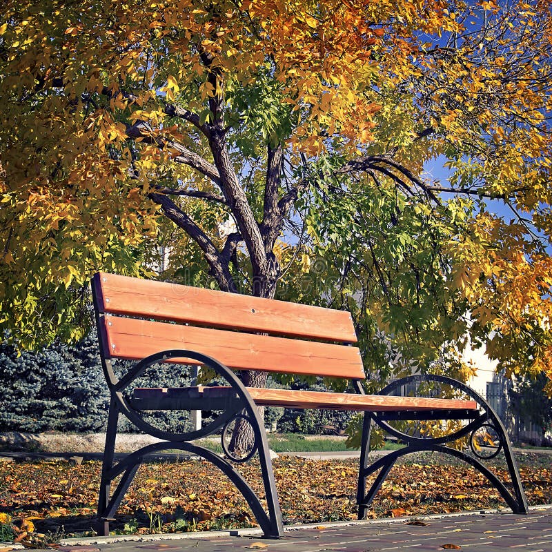 Benches for rest in the autumn park