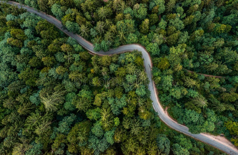A Bending Road from Above Leading through a Green Forest. Drone Shot for Wallpapers, Top Down from Above Aerial Shot in Stock Photo - Image of natural, highway: 230221032 A Bending Road from Above Leading through a Green Forest. Drone Shot for Wallpapers, Top Down from Above Aerial Shot in Stock Photo - Image of natural, highway: 230221032
