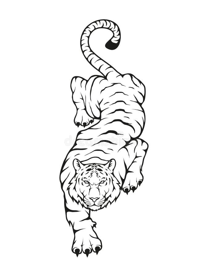 4,341 Bengal Tiger Line Art Royalty-Free Images, Stock Photos & Pictures