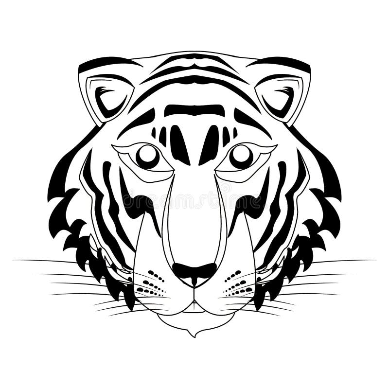 Bengal Tiger Stock Illustrations 3 837 Bengal Tiger Stock