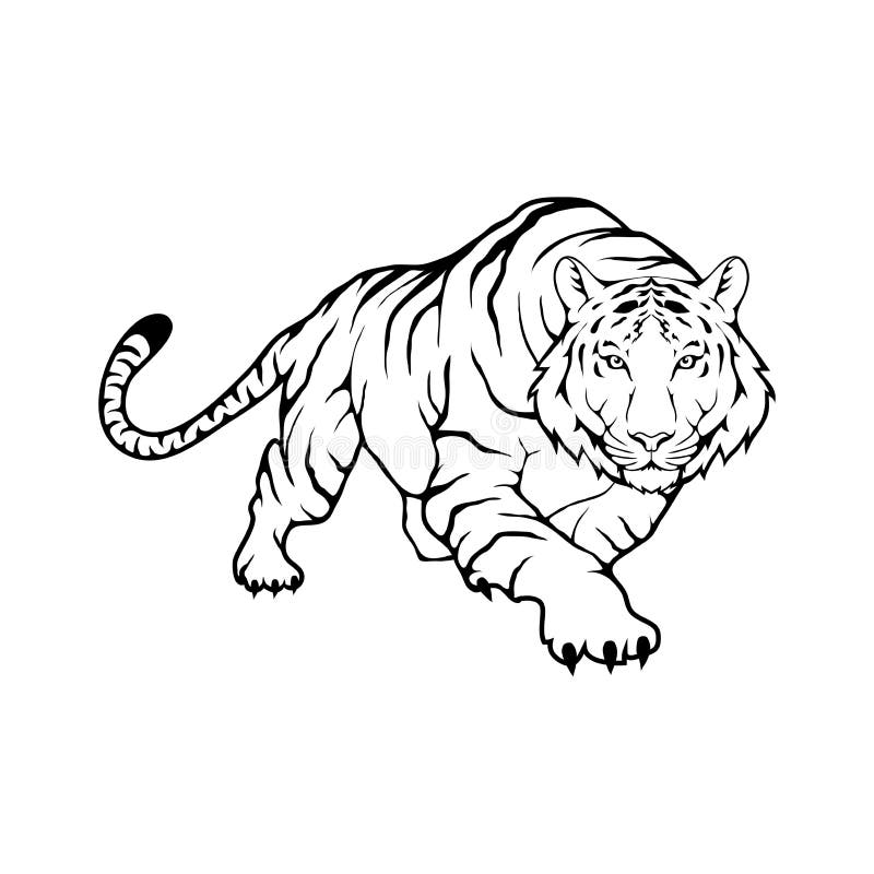 Bengal tiger stock vector. Illustration of power, sport - 99376444