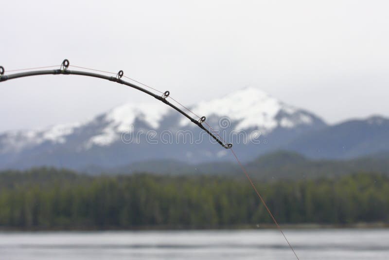 Bent Fishing Pole Stock Photos Free & RoyaltyFree Stock Photos from