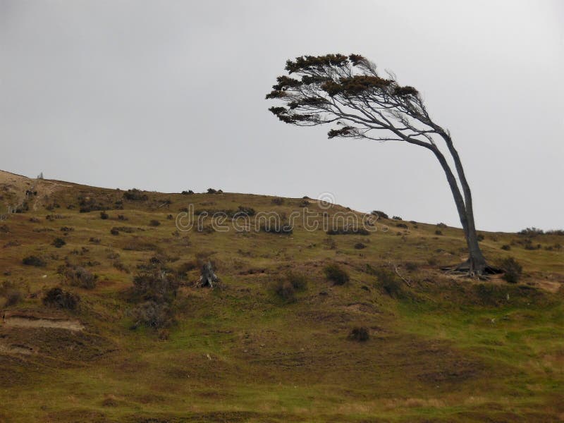 Patagonia's Wind Stock Photos Free & RoyaltyFree Stock Photos from Dreamstime