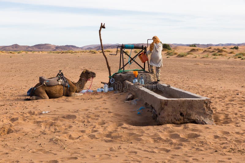 Berber et chameau près de bien, le Maroc photographie stock Berber et chameau près de bien, le Maroc photographie stock