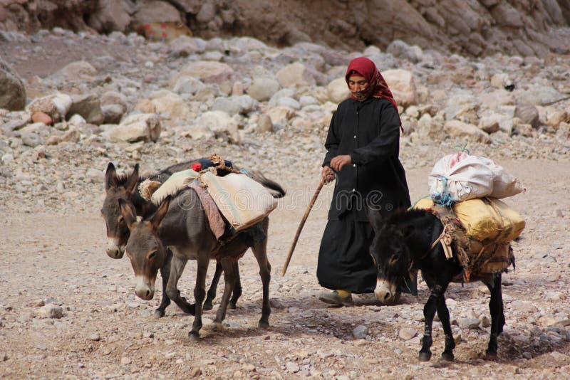 Berber kobiety ścieżka z osłami