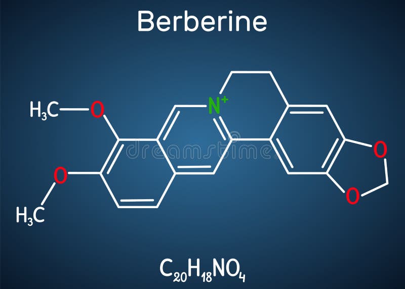Berberine C20H18NO4, herbal alkaloid molecule. Structural chemical formula on the dark blue background. Vector illustration. Oxygen molecule blue vectors