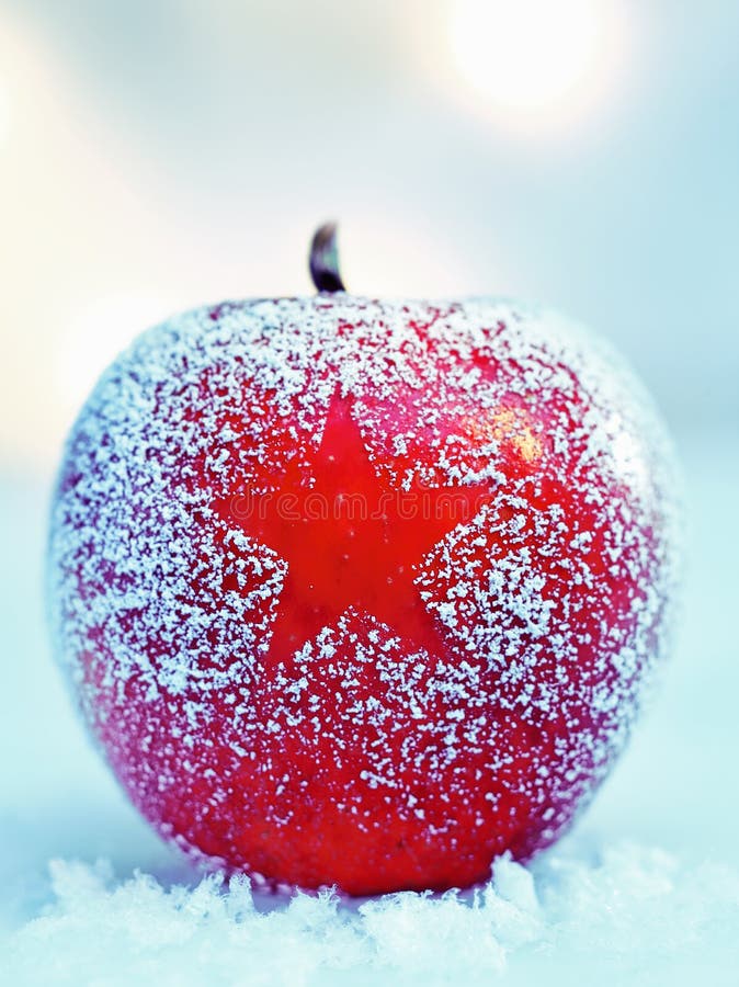 Frosted colourful ripe red Christmas apple on fresh winter snow with a decorative star pattern in the frosting. Frosted colourful ripe red Christmas apple on fresh winter snow with a decorative star pattern in the frosting