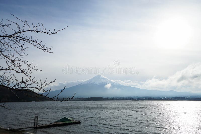 Berg Fuji i eftermiddagen royaltyfri fotografi Berg Fuji i eftermiddagen royaltyfri fotografi