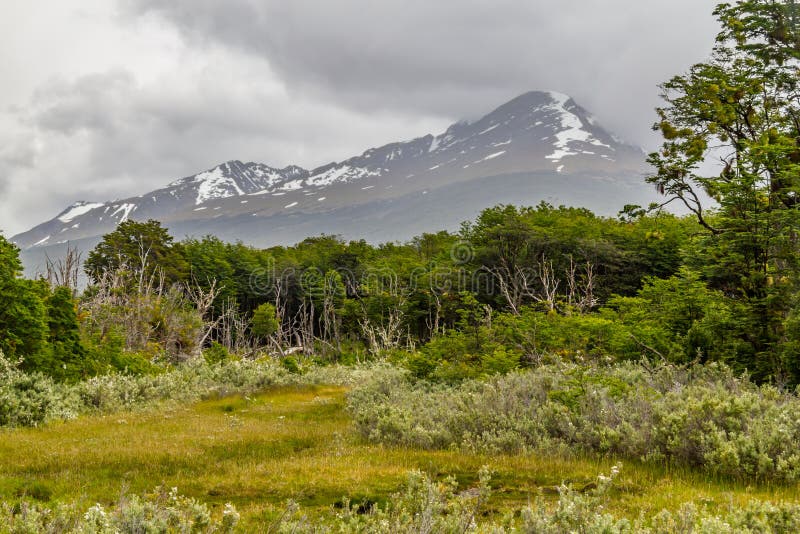 Berg in Lapataia-Bucht, Tierra del Fuego National Park stockbilder Berg in Lapataia-Bucht, Tierra del Fuego National Park stockbilder