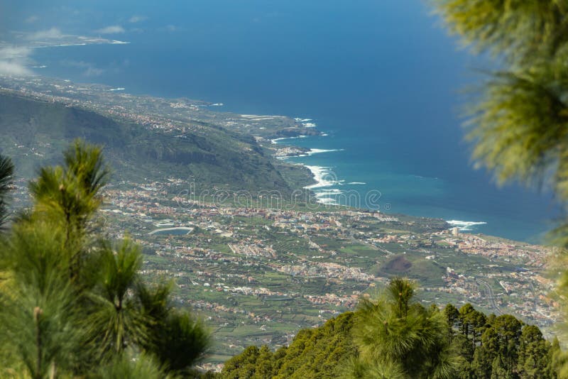 Berg sörjer trädskogen ovanför molnen Panoramautsikt av den La Orotava dalen och linje för norrkust på Tenerife 2000m fotografering för bildbyråer Berg sörjer trädskogen ovanför molnen Panoramautsikt av den La Orotava dalen och linje för norrkust på Tenerife 2000m fotografering för bildbyråer