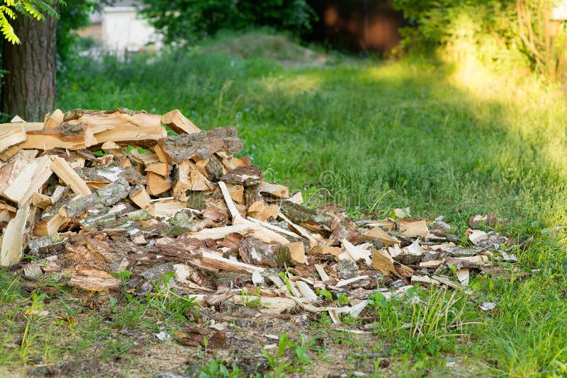 Berg van berkehout op een groen gazon dichtbij het bos royalty-vrije stock afbeeldingen Berg van berkehout op een groen gazon dichtbij het bos royalty-vrije stock afbeeldingen