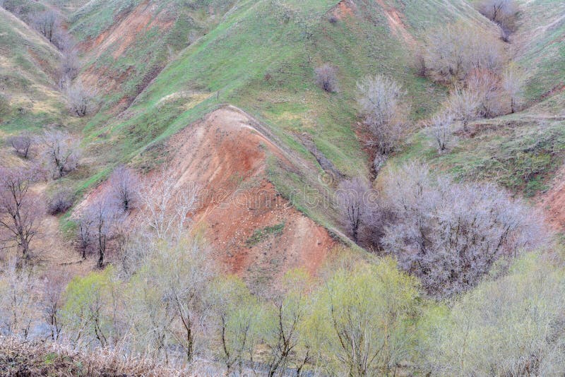 Berge und Hügel auf der Küste des Flusses Volga Schöne Muster von Felsen, von Wiesen, von grünem Gras und von Bäumen Sch?ner Fr?h lizenzfreie stockfotografie Berge und Hügel auf der Küste des Flusses Volga Schöne Muster von Felsen, von Wiesen, von grünem Gras und von Bäumen Sch?ner Fr?h lizenzfreie stockfotografie