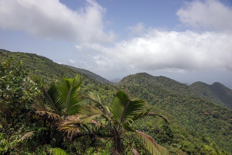 Bergen op Caraïbisch Eiland Dominica stock foto Bergen op Caraïbisch Eiland Dominica stock foto