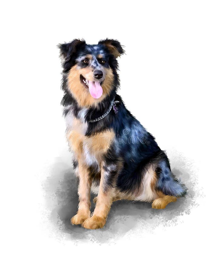 Berger australien Compagnon de chien Peinture de Collie Watercolor de frontière Photo acrylique