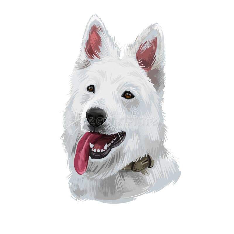 Grupo Suíço Branco Do Vetor Do Cão-pastor De Silhuetas Ilustração