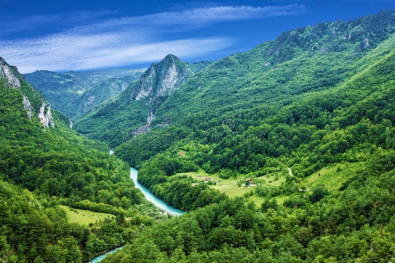 Bergrivier Tara en bos in Montenegro royalty-vrije stock afbeelding Bergrivier Tara en bos in Montenegro royalty-vrije stock afbeelding