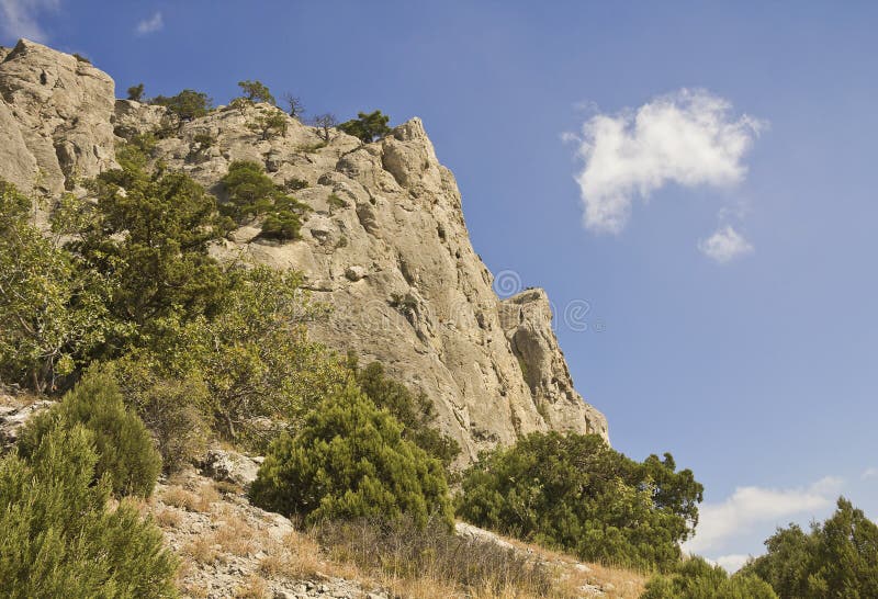 Bergspitzen, überwältigt mit Kiefern und Wacholderbusch stockbild Bergspitzen, überwältigt mit Kiefern und Wacholderbusch stockbild