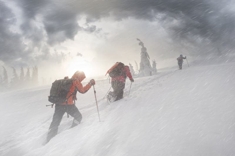 In a strong frosty wind and snowfall, a group of young climbers makes a sports training out to Homyak Mountain in the Carpathians against the backdrop of a wild forest, Ukraine. In a strong frosty wind and snowfall, a group of young climbers makes a sports training out to Homyak Mountain in the Carpathians against the backdrop of a wild forest, Ukraine