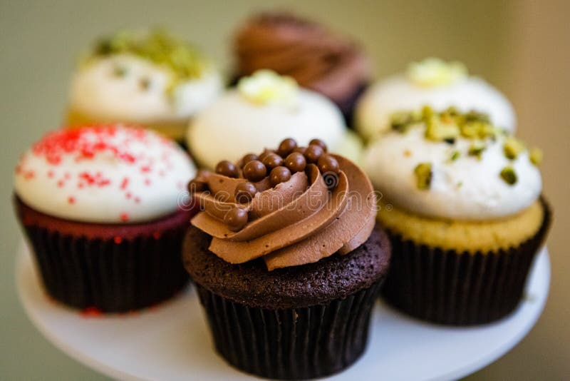 Berijpt cupcakes, chocolade en vanille stock afbeelding Berijpt cupcakes, chocolade en vanille stock afbeelding