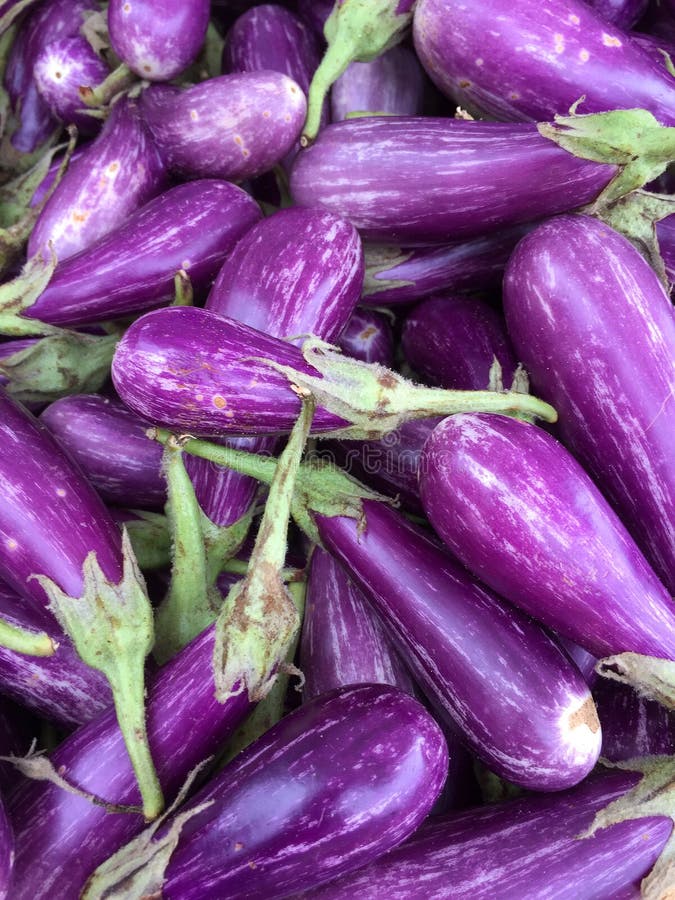 Beringela roxa fresca foto de stock