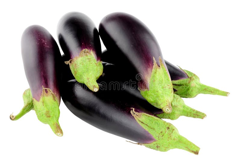 Beringelas cruas frescas do bebê imagens de stock royalty free