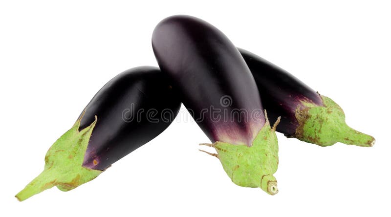 Beringelas cruas frescas do bebê foto de stock royalty free