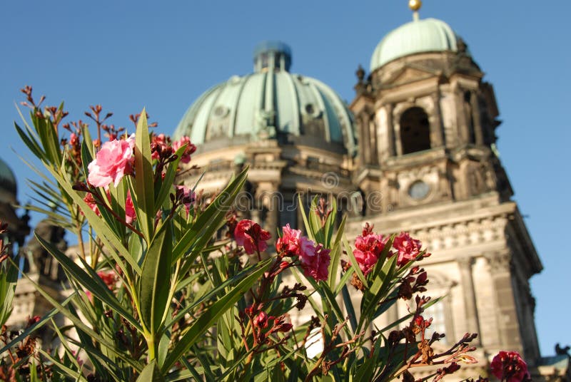 Berlin Cahedral through the flowers