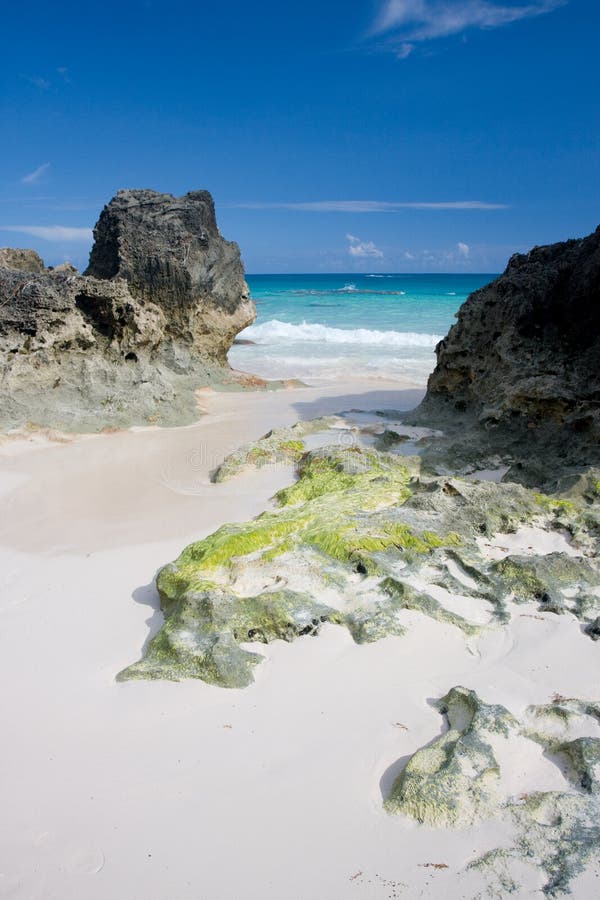 Bermuda beach