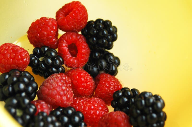 Berries