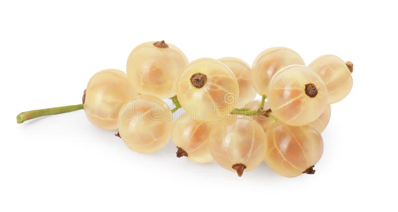 Berries de curry frais isolées sur blanc image stock