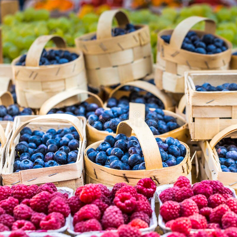 Berries at the Farmers Market in Poland. Stock Image Image of