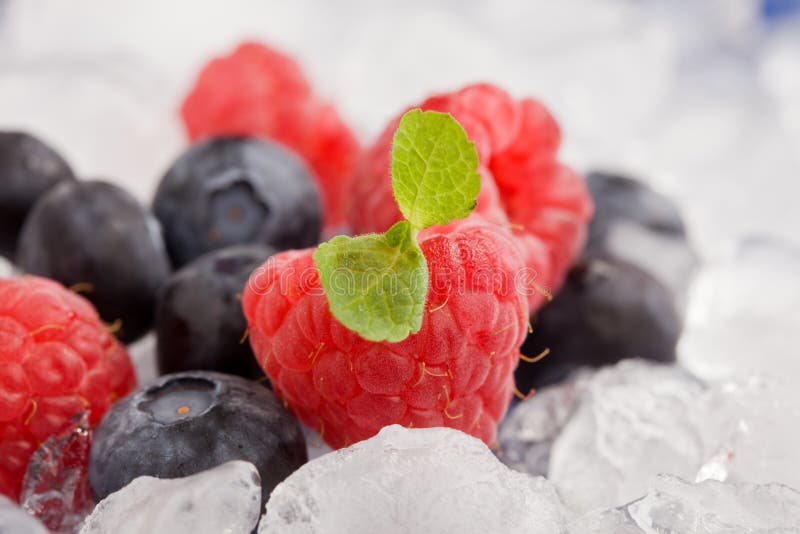 Berries on ice