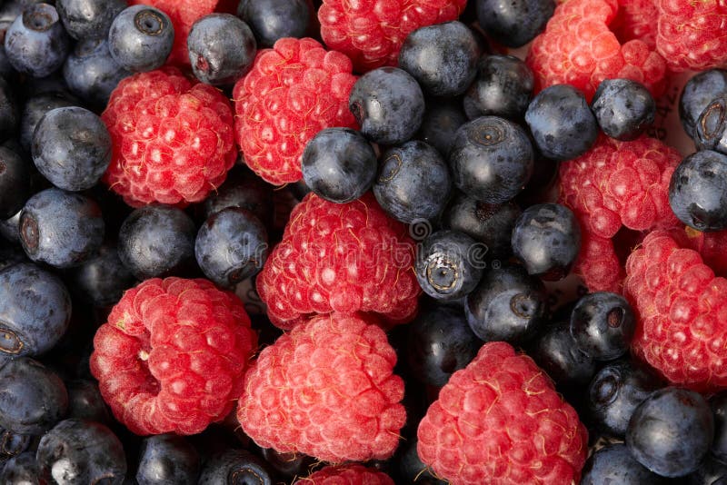 Berries on White Background Stock Photo Image of macro, snack 15383038